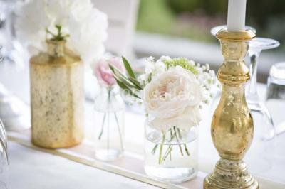 Location salle Mirabel-et-Blacons (Drôme) - Domaine de Blacons #21