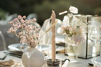 Location salle Mirabel-et-Blacons (Drôme) - Domaine de Blacons #21