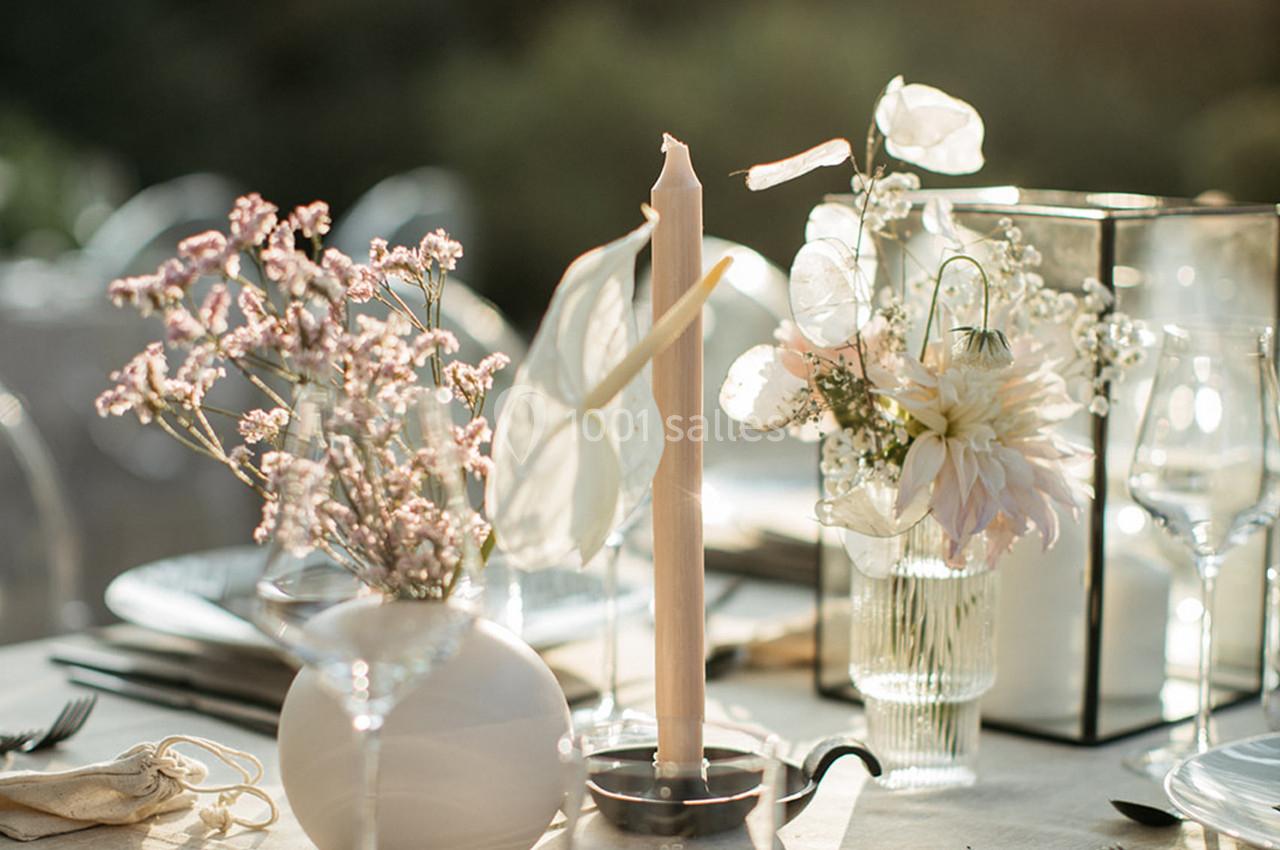 Location salle Mirabel-et-Blacons (Drôme) - Domaine de Blacons #10