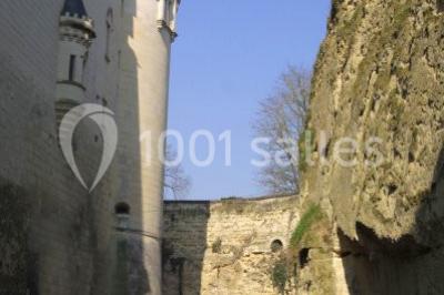 Location salle Brézé (Maine-et-Loire) - Château De Brézé #22