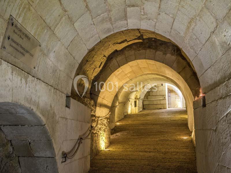 Location salle Brézé (Maine-et-Loire) - Château De Brézé #18