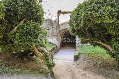 Location salle Brézé (Maine-et-Loire) - Château De Brézé #22