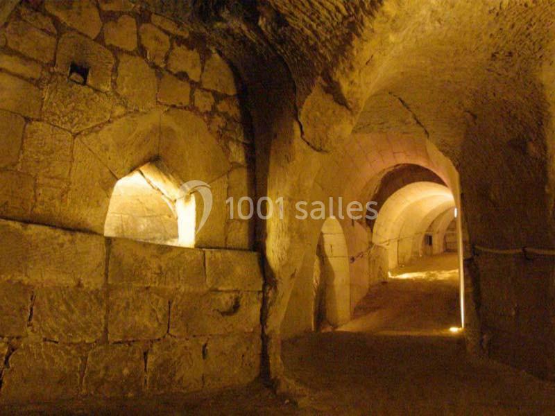 Location salle Brézé (Maine-et-Loire) - Château De Brézé #16