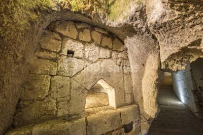 Location salle Brézé (Maine-et-Loire) - Château De Brézé #19