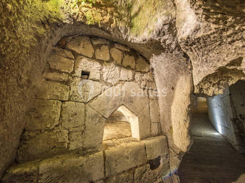 Location salle Brézé (Maine-et-Loire) - Château De Brézé #14