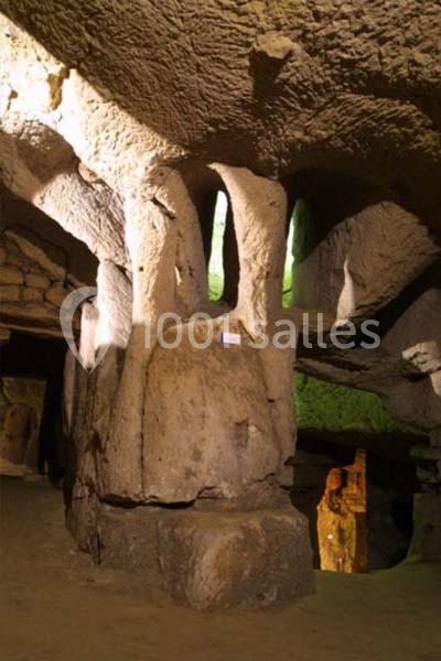 Location salle Brézé (Maine-et-Loire) - Château De Brézé #12