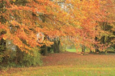 Location salle Plachy-Buyon (Somme) - Le Moulin de Plachy #32