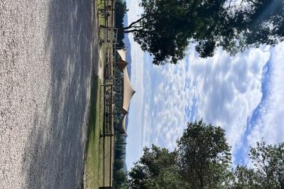 Salle de réception décorée avec des tables dressées, des fleurs et des voilages suspendus sous un plafond en bois.