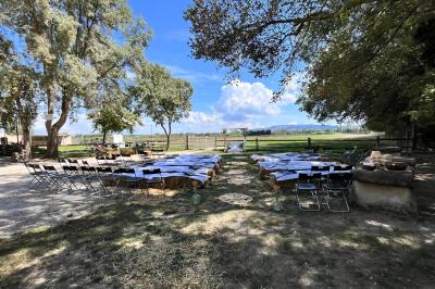 Salle de réception décorée avec des tables dressées, des fleurs et des voilages suspendus sous un plafond en bois.
