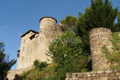 Location salle Espinas (Tarn-et-Garonne) - Château De Cas #18