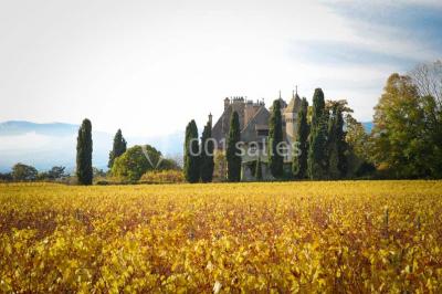 Location salle Thonon-les-Bains (Haute-Savoie) - Château De Ripaille #24