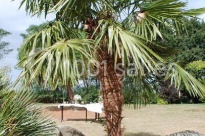 Location salle La Romagne (Maine-et-Loire) - Espace Galerne #20