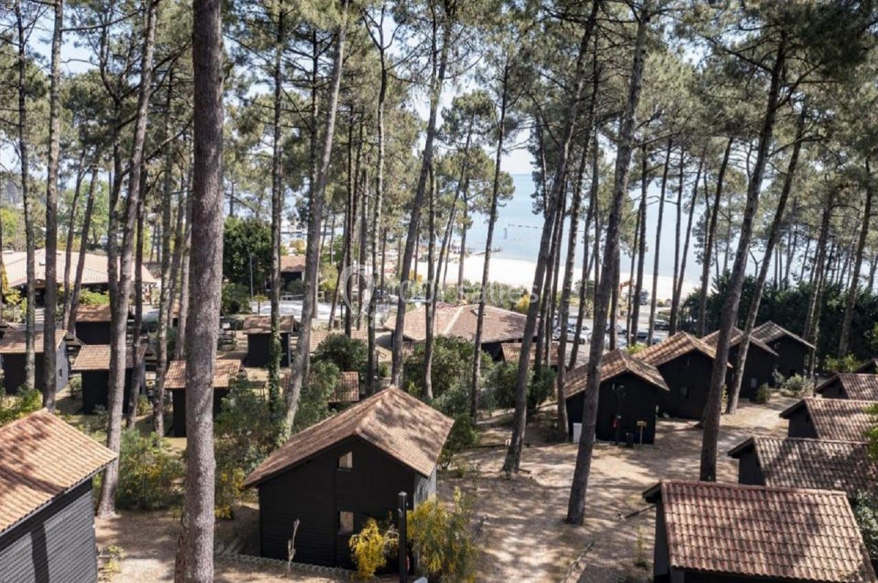 Vue aérienne d'un village de chalets en bois entouré de pins, avec la mer visible en arrière-plan.