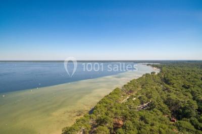 Cabane en bois sombre entourée de grands pins dans une forêt, avec lumière du soleil filtrant à travers les arbres.
