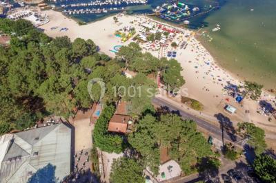 Cabane en bois sombre entourée de grands pins dans une forêt, avec lumière du soleil filtrant à travers les arbres.