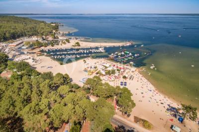 Cabane en bois sombre entourée de grands pins dans une forêt, avec lumière du soleil filtrant à travers les arbres.