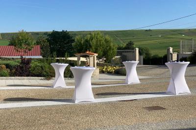 Location salle Baslieux-sous-Châtillon (Marne) - Salle Martins #35