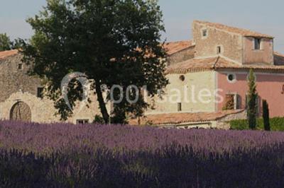 Domaine De La Barbeirasse Domaine De La Barbeirasse