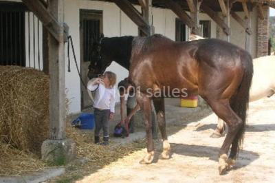 Location salle Saint-Martin-de-Coux (Charente-Maritime) - La Borderie #17