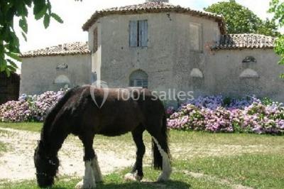 Location salle Saint-Martin-de-Coux (Charente-Maritime) - La Borderie #17