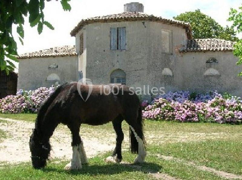 Location salle Saint-Martin-de-Coux (Charente-Maritime) - La Borderie #17