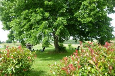 Location salle Saint-Martin-de-Coux (Charente-Maritime) - La Borderie #17