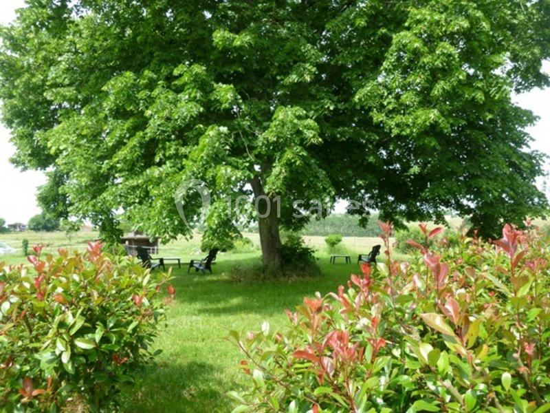 Location salle Saint-Martin-de-Coux (Charente-Maritime) - La Borderie #5