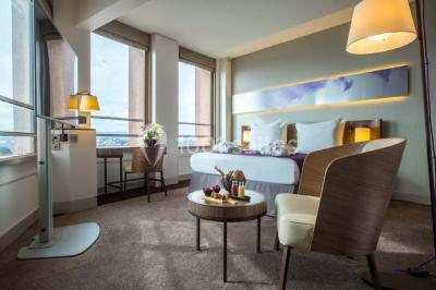 Location salle Lyon 3 (Rhône) - Radisson Blu Hotel, Lyon #10