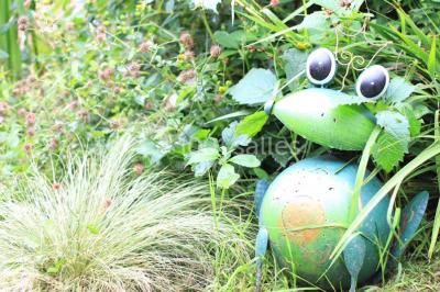 Location salle Plestin-les-Grèves (Côtes-d'Armor) - Coat Aillis #8