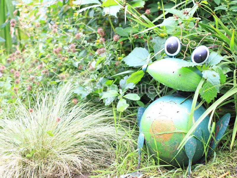 Location salle Plestin-les-Grèves (Côtes-d'Armor) - Coat Aillis #8