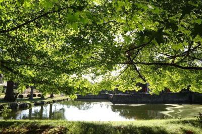 Location salle Campet-et-Lamolère (Landes) - Château de Campet #36