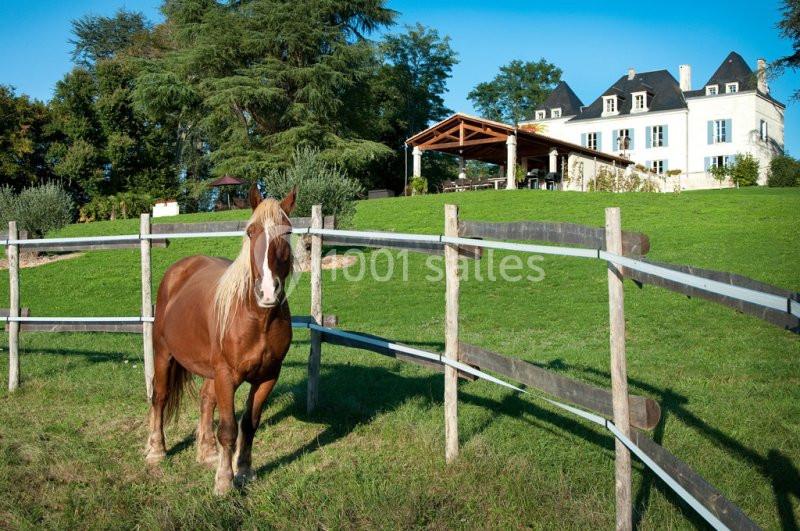 Location salle Campsegret (Dordogne) - Domaine De La Fauconnie #14