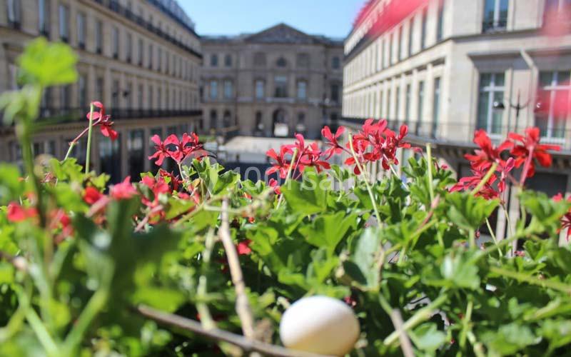 Location salle Paris 1 (Paris) - Restaurant Chez Claude #2