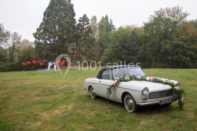 Buffet de petit-déjeuner avec viennoiseries, pain, confiture et grille-pain, devant une fenêtre et des fleurs décoratives.