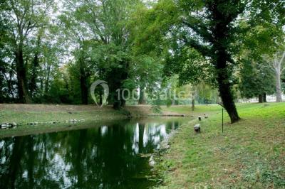 Buffet de petit-déjeuner avec viennoiseries, pain, confiture et grille-pain, devant une fenêtre et des fleurs décoratives.