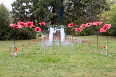 Buffet de petit-déjeuner avec viennoiseries, pain, confiture et grille-pain, devant une fenêtre et des fleurs décoratives.