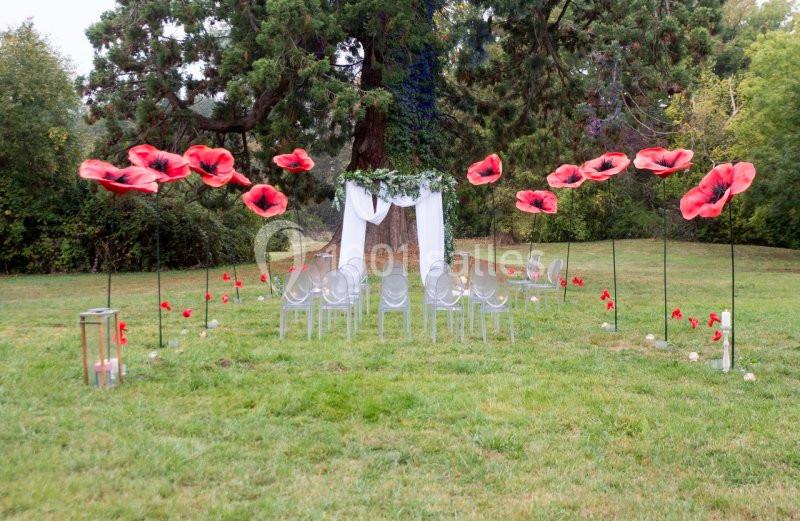 Chaises transparentes disposées en extérieur devant une arche décorée de tissu blanc, entourée de grandes fleurs rouges.