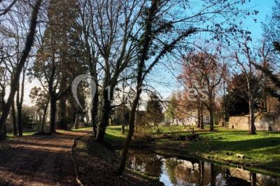 Buffet de petit-déjeuner avec viennoiseries, pain, confiture et grille-pain, devant une fenêtre et des fleurs décoratives.
