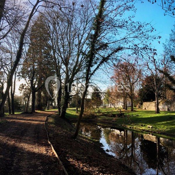 Chemin bordé d'arbres longeant un petit cours d'eau dans un parc ensoleillé en hiver.