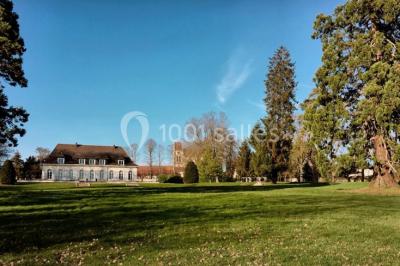 Buffet de petit-déjeuner avec viennoiseries, pain, confiture et grille-pain, devant une fenêtre et des fleurs décoratives.