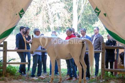 Véhicule tout-terrain rouge stationné sur des marches en pierre devant un bâtiment avec de grandes fenêtres.