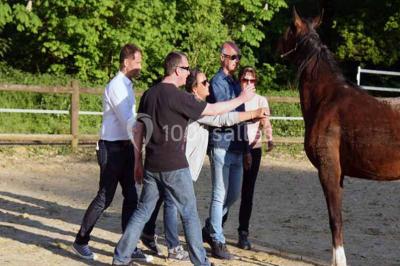 Véhicule tout-terrain rouge stationné sur des marches en pierre devant un bâtiment avec de grandes fenêtres.