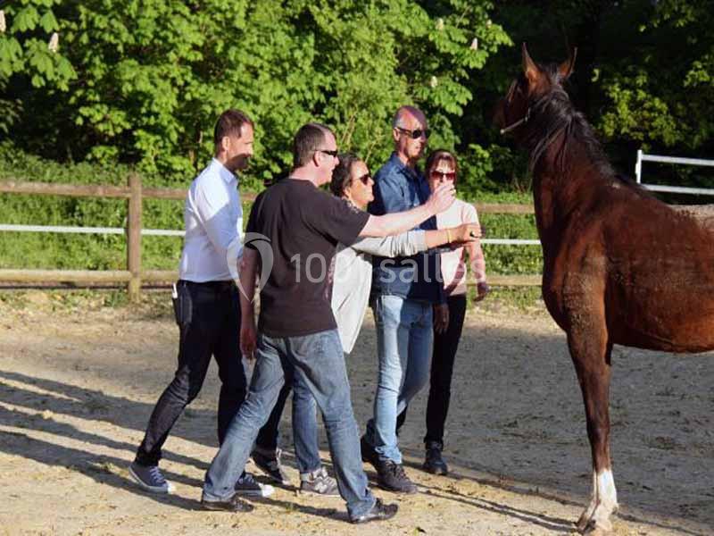 Un groupe de personnes observe et interagit avec un cheval dans un enclos extérieur bordé d'arbres.