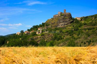 Location salle Pradeaux (Puy-de-Dôme) - Château La Grange Fort #40
