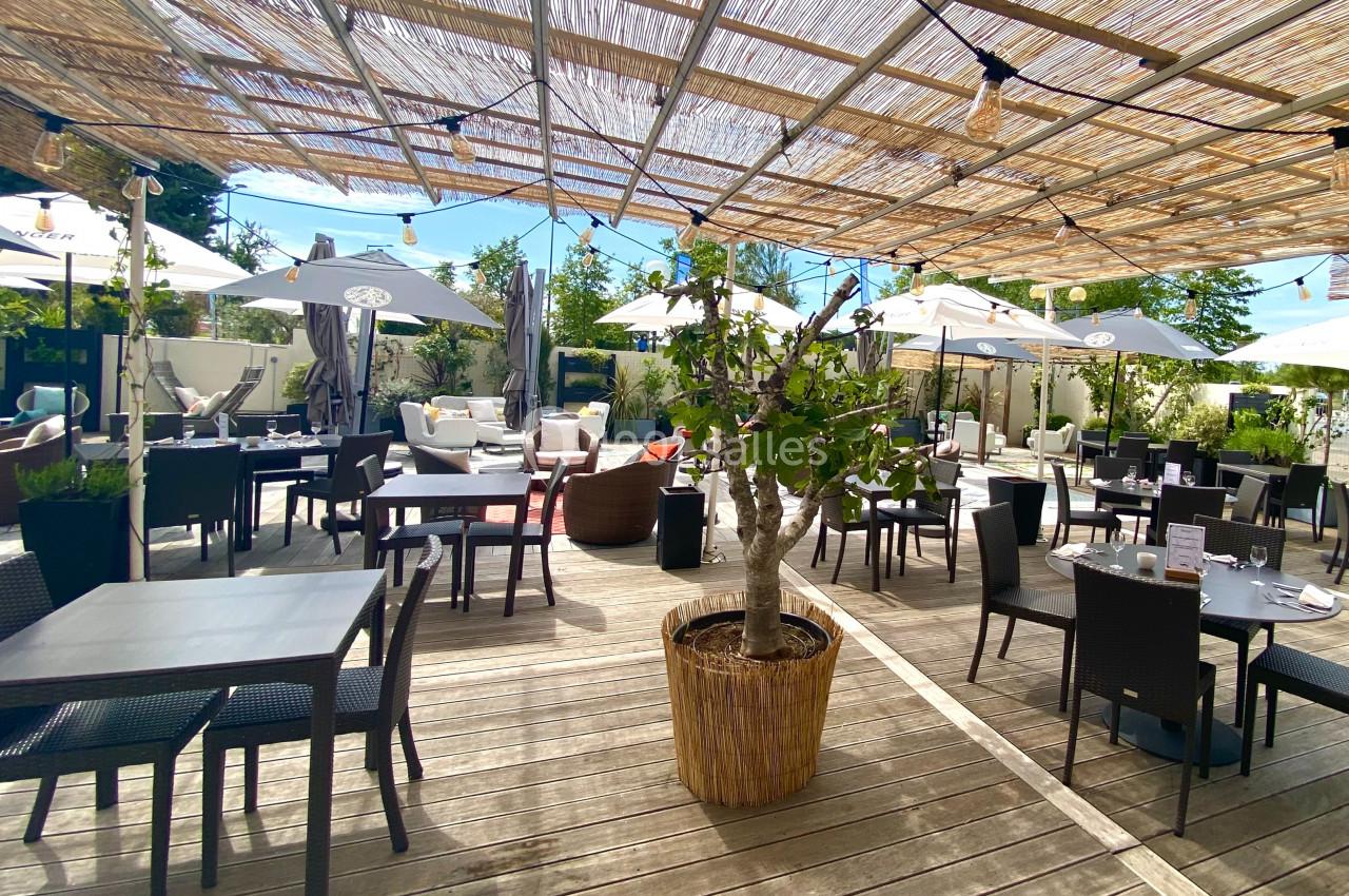 Terrasse ensoleillée avec tables et chaises noires, parasols blancs et un arbre en pot au centre.