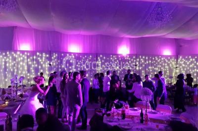 Salle de réception décorée avec des lumières violettes, une arche florale et des chaises transparentes disposées autour de…