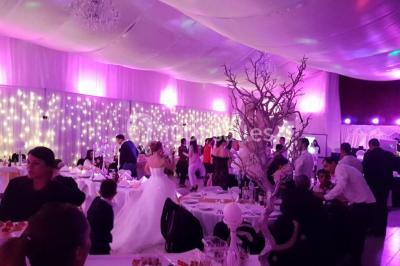 Salle de réception décorée avec des lumières violettes, une arche florale et des chaises transparentes disposées autour de…