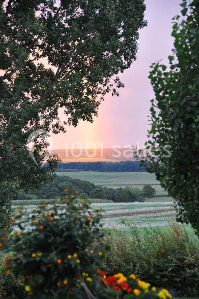 Location salle Saxon-Sion (Meurthe-et-Moselle) - Restaurant Du Domaine De Sion #6