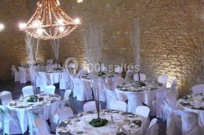 Location salle Basse-Rentgen (Moselle) - Château de Preisch #18