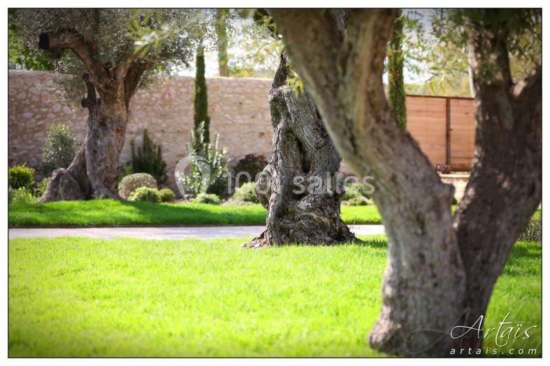 Location salle La Celle (Var) - Bastide Saint Julien #17